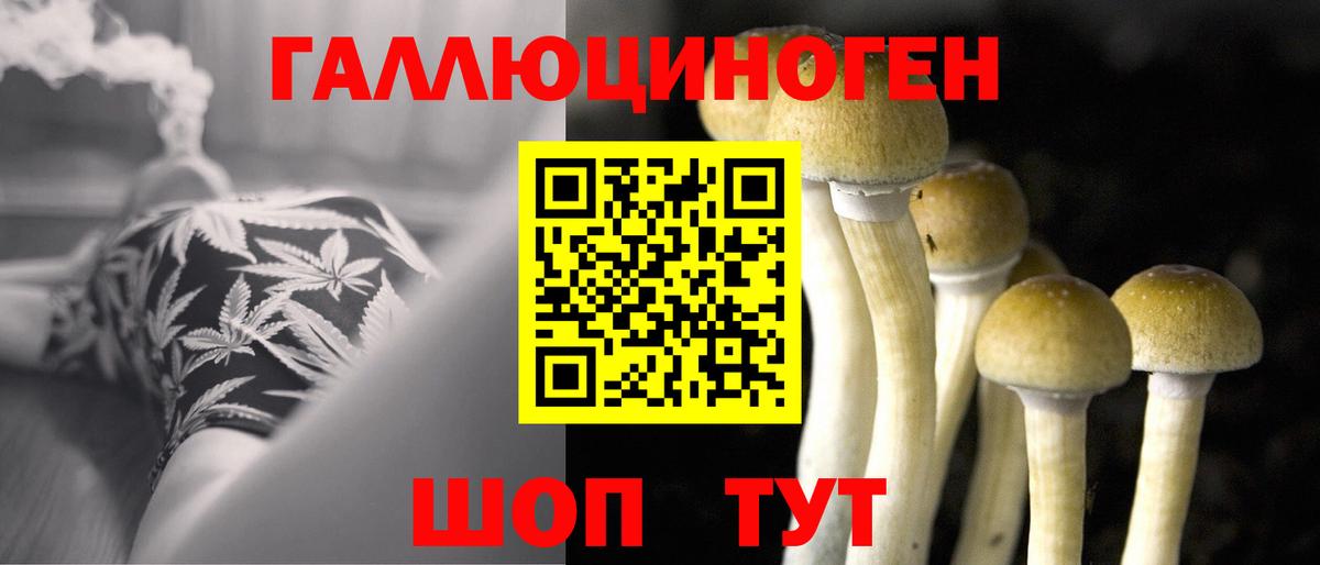 Вологда  Псилоцибиновые грибы Cubensis  Вход с VPN  Псилоцибиновые грибы Cubensis 